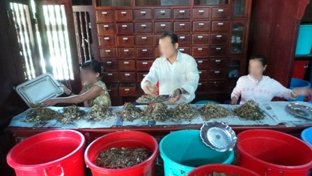 Thuốc đông y là dược liệu cổ truyền nhưng nếu bị trộn kim loại nặng sẽ vô cùng nguy hại