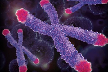 Đột biến di truyền lặn trên nhiễm sắc thể thường là nguyên nhân dẫn đến tích kỹ đồng ở người bệnh