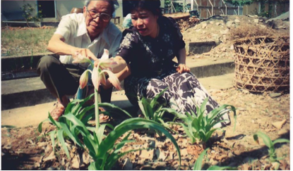 Trinh nữ hoàng cung đã “ám ảnh” tôi - 2 GS.TSKH Đỗ Tất Lợi và TS. Nguyễn Thị Ngọc Trâm tại vùng trồng Trinh nữ hoàng cung năm 1992