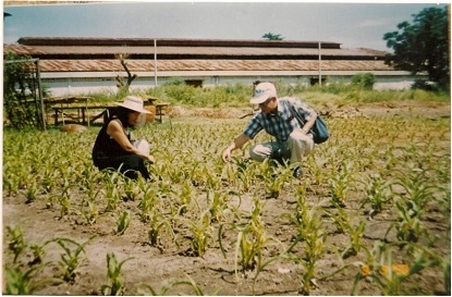 Trinh nữ hoàng cung đã “ám ảnh” tôi - 3 TSKH. Trần Công Khánh và TS. Nguyễn Thị Ngọc Trâm tại vùng trồng Trinh nữ hoàng cung năm 1998