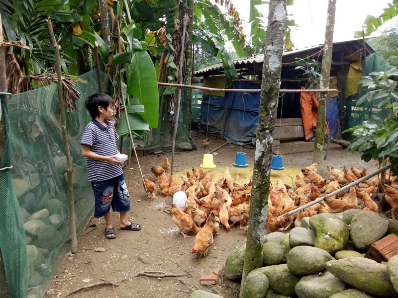 Mặc dù thân hình nhỏ bé nhưng nghị lực của anh Nhật khiến nhiều người dân ở đây khâm phục.