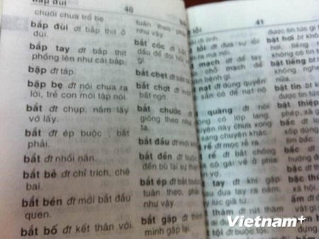 Cuốn từ điển với nhiều lỗi giải thích sai khiến dư luận xôn xao (Ảnh: Vietnam+)