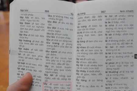 Những giải thích khó đỡ trong cuốn từ điển tiếng Việt. Ảnh: Lê Thanh