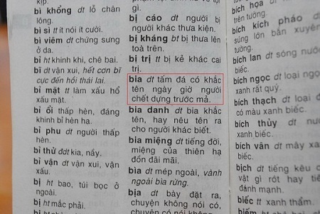 Những giải thích khó đỡ trong cuốn từ điển tiếng Việt. Ảnh: Lê Thanh