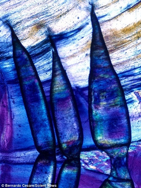 Vẻ đẹp không tưởng đến từ… một mẩu nilon - 4 Những
màu sắc tuyệt đẹp từ mảnh túi nilon.