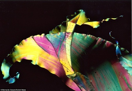 Những
màu sắc tuyệt đẹp từ mảnh túi nilon.