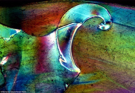 Những
màu sắc tuyệt đẹp từ mảnh túi nilon.