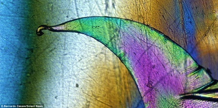 Những
màu sắc tuyệt đẹp từ mảnh túi nilon.