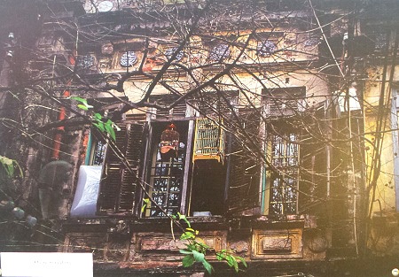 Ô cửa mùa đông - Ngô Thế Dũng