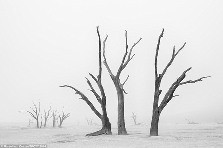 Thắng
giải ở hạng mục này là nhiếp ảnh gia Johnny Haglund đến từ Na Uy.