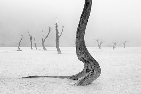 Thắng
giải ở hạng mục này là nhiếp ảnh gia Johnny Haglund đến từ Na Uy.