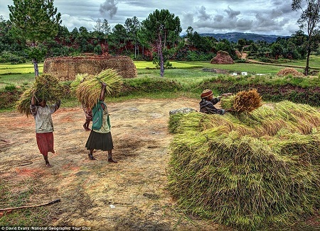 Việt Nam trong bộ ảnh “Sự đói nghèo và niềm hy vọng” của Mỹ - 11 Madagascar: