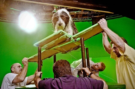 Nhiếp ảnh gia chuyên đi chụp hình “bêu xấu” Hollywood - 16 “The
Shaggy Dog” (2005)