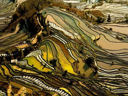 Ăn phở ở Hà Nội là một trong 100 trải nghiệm nên có trong đời - 15 Ngắm nhìn những thửa ruộng
bậc thang đẹp như tranh vẽ ở Vân Nam, Trung Quốc.