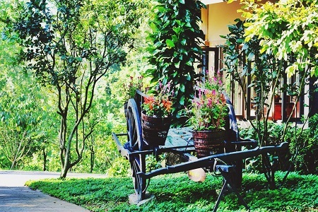 Về Madagui nghe thiên đường xanh trẩy hội xuân