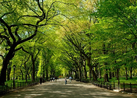 “Thành phố xanh” - là những nơi đáng sống nhất thế giới - 14 New
York, Mỹ