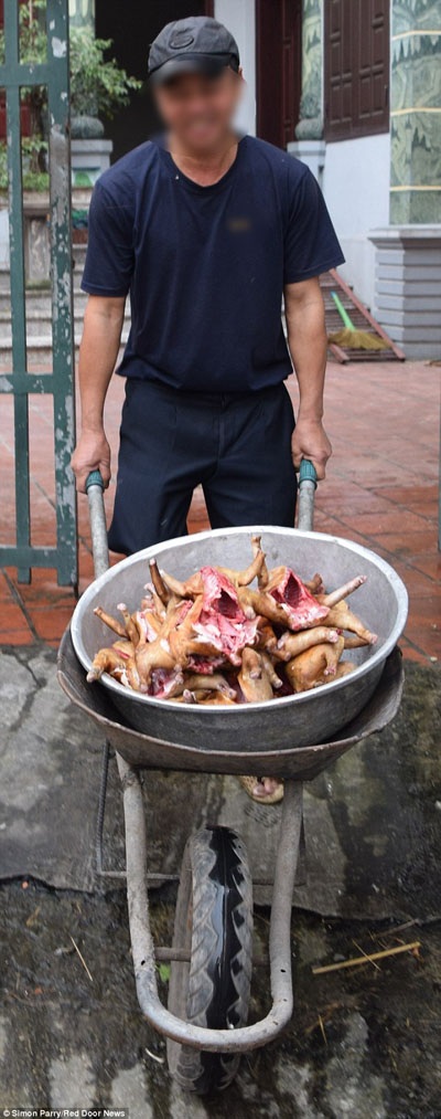 Chuyện người Việt Nam ăn thịt mèo lại lên báo Anh - 1 Một
chiếc xe cút kít chở đầy “tiểu hổ” được mang tới cửa hàng mà phóng viên Simon
ghé vào.