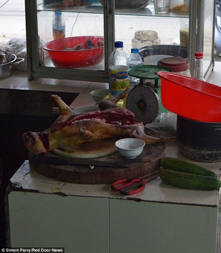 Chuyện người Việt Nam ăn thịt mèo lại lên báo Anh - 4 “Tiểu
hổ” đang được chế biến trong bếp để chuẩn bị phục vụ thực khách.