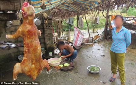 Chuyện người Việt Nam ăn thịt mèo lại lên báo Anh - 5 “Tiểu
hổ” đang được chế biến trong bếp để chuẩn bị phục vụ thực khách.