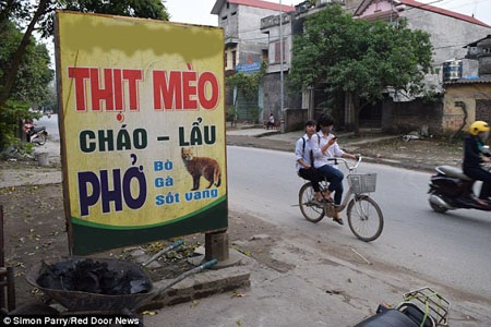 Chuyện người Việt Nam ăn thịt mèo lại lên báo Anh - 6 “Tiểu
hổ” đang được chế biến trong bếp để chuẩn bị phục vụ thực khách.