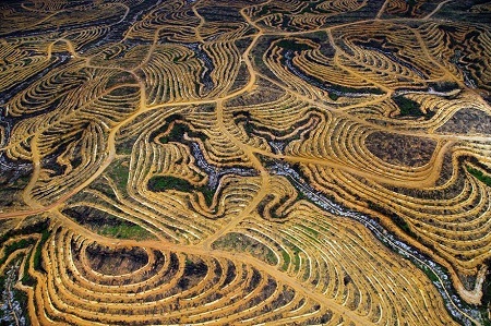 Hình ảnh thiên nhiên than khóc, xin con người cứu lấy trái đất - 6 Một
khu rừng ở Indonesia đã bị phá đi để chuyển đổi thành đồn điền trồng cây công
nghiệp.