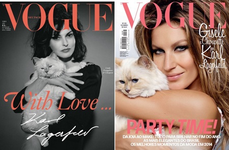 Câu chuyện về cô mèo kiếm được hơn 63 tỷ đồng/năm - 9 Năm
ngoái, Choupette đã kiếm bộn tiền từ hai hợp đồng quảng cáo.