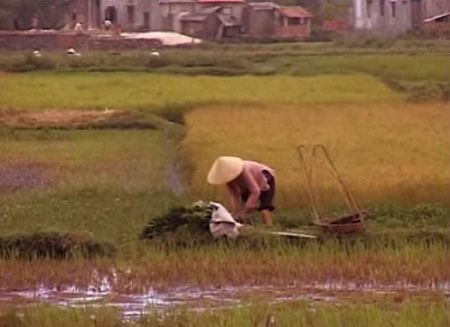 Hình ảnh trong phim về chiến dịch “không vận trẻ em” được đề cử Oscar - 25 Những cảnh quay ở Việt Nam trong phim