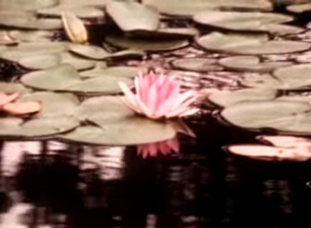 Hình ảnh trong phim về chiến dịch “không vận trẻ em” được đề cử Oscar - 29 Những cảnh quay ở Việt Nam trong phim