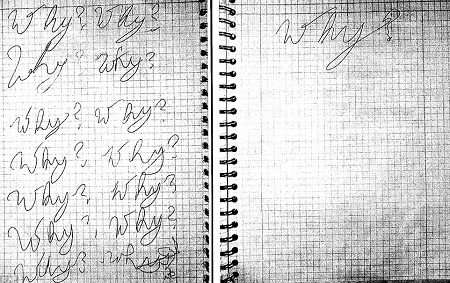 Holmes đã đưa ra lời biện hộ cho hành động của bản thân là
bởi tâm thần bất thường.