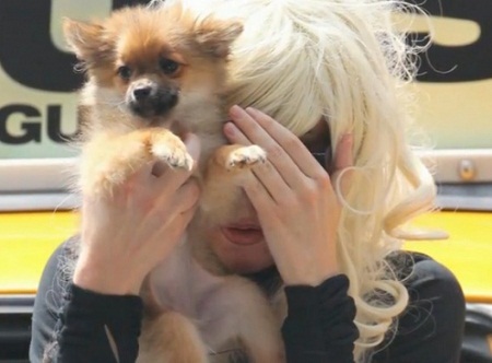 Nữ
diễn viên Ashley Tinsdale và Amanda Bynes sử dụng thú cưng che mặt.