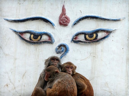 Nepal đối diện với nguy cơ bị trộm cắp cổ vật hàng loạt - 7 Đền Swayambhunath trước khi xảy ra động đất