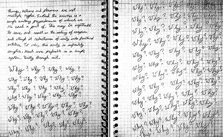 Những trang viết lặp đi lặp lại chữ “Why?” (Tại sao?).