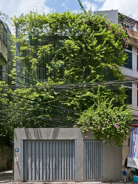 Công trình Green Renovation