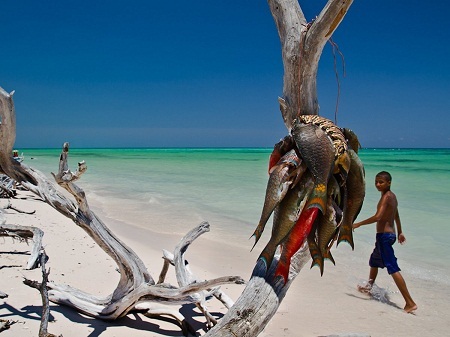 Cuba bất ngờ trở thành bối cảnh phim “lý tưởng” - 17 Bạn có thể ăn hải sản tươi sống cả ngày.