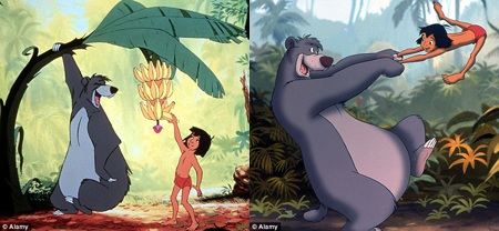 Rừng
già Ấn Độ là nguyên mẫu cho khu rừng trong phim “Câu chuyện rừng xanh” (1967).