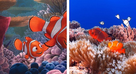 Ông cụ Carl và cậu bạn nhỏ Russell cùng đặt chân tới thác
Thiên đường.