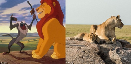 Ông cụ Carl và cậu bạn nhỏ Russell cùng đặt chân tới thác
Thiên đường.