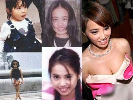 Nữ diễn viên - ca sĩ
Thái Y Lâm