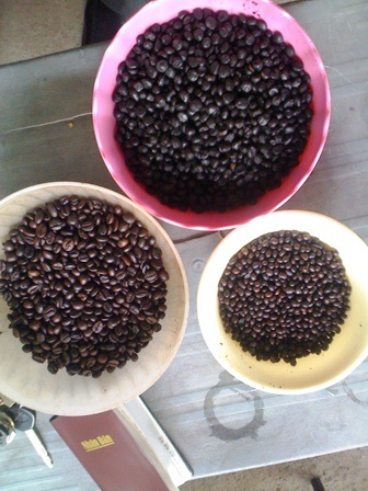 Bột bắp + đậu nành cháy + hương liệu = cà phê - 1 Bột bắp + đậu nành cháy + hương liệu = cà phê - 1