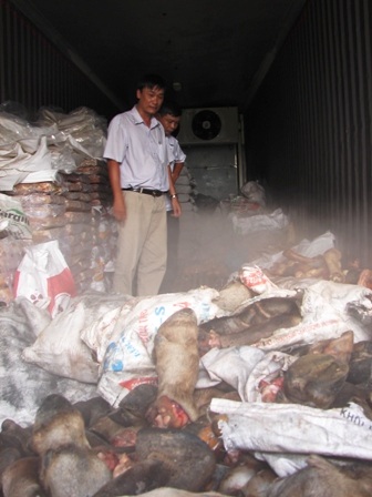 Tiêu hủy thịt thối “nửa mùa”, 4 cán bộ bị đình chỉ công tác