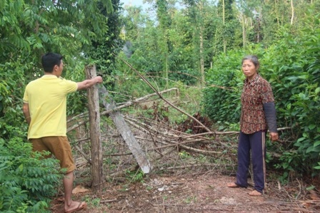 Hàng rào của ông Chề Văn Hùng và ông Lý Tàu Chắn dựng lên sau lần cưỡng chế của lực lượng chức năng