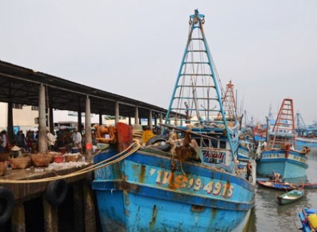 Các tàu cá đã về trú ẩn an toàn (Ảnh: Báo BR-VT)