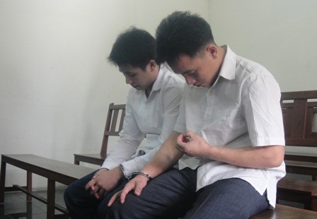 Buôn bán động vật hoang dã, "hô biến" mèo thành... hổ - 1 Hai anh em Phúc, Đình tại tòa