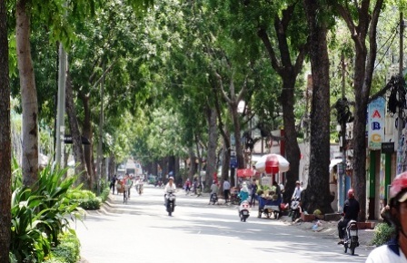 Có một Sài Gòn "sống chậm", bình yên hiếm gặp - 1 Những con đường nhỏ hẹp này, ngày thường người chật như nêm, nay rộng thênh thang