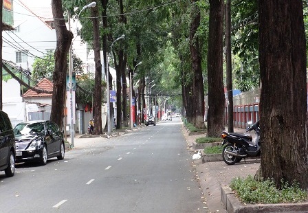 Có một Sài Gòn "sống chậm", bình yên hiếm gặp - 2 Những con đường nhỏ hẹp này, ngày thường người chật như nêm, nay rộng thênh thang