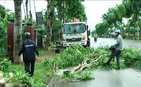 Cây xanh không rễ bật gốc đè chết người - 1 Công nhân đô thị dọn hiện trường sau vụ tai nạn