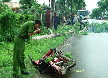Cây xanh không rễ bật gốc đè chết người - 3 Hiện công an huyện Châu Đức đang điều tra vụ việc