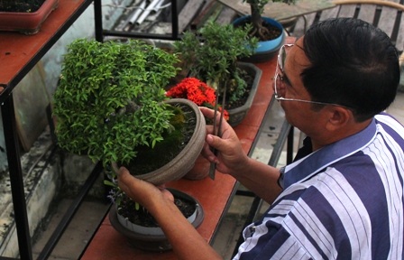 Để có được những chậu bonsai ưng ý, những nghệ nhân cũng phải đầu tư hết sức công phu