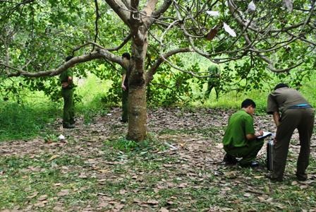 Phát hiện thi thể phụ nữ bị trói trong vườn điều - 1 Cơ quan chức năng đang khám nghiệm hiện trường nơi nạn nhân chết