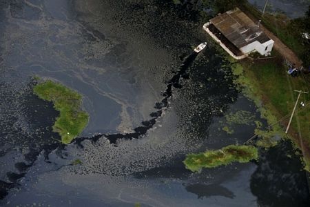 Những hình ảnh nổi bật tuần qua - 9